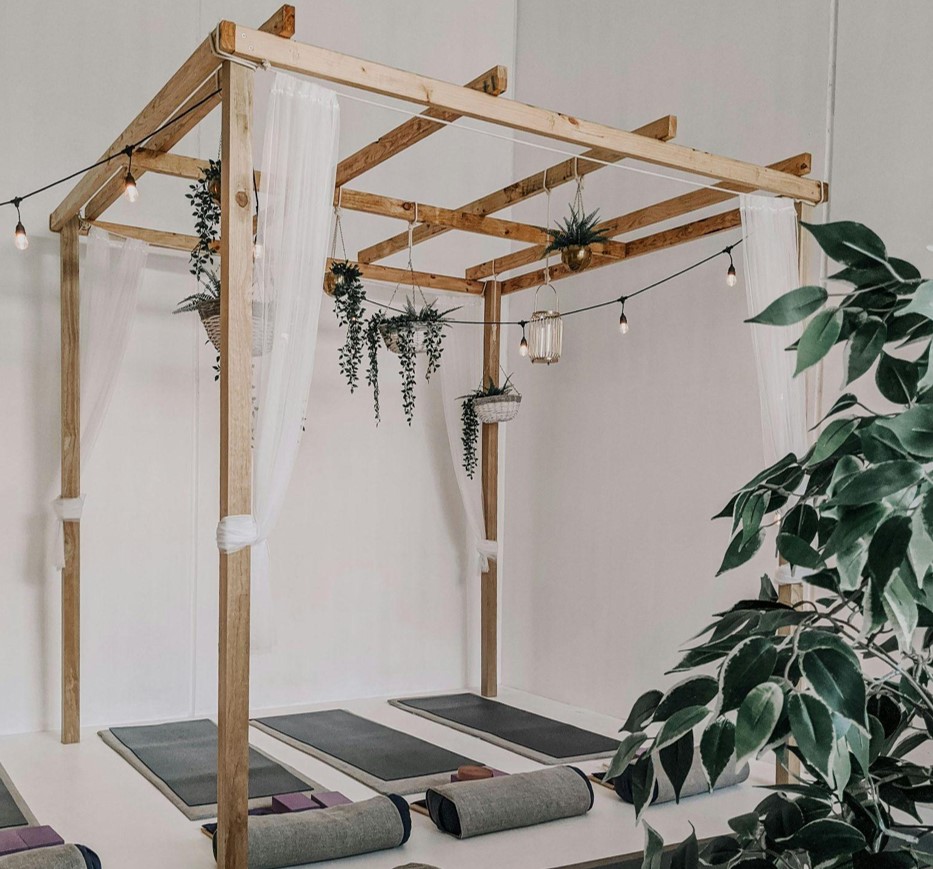 Elevate Your Space with a Beautiful Faux Olive Tree